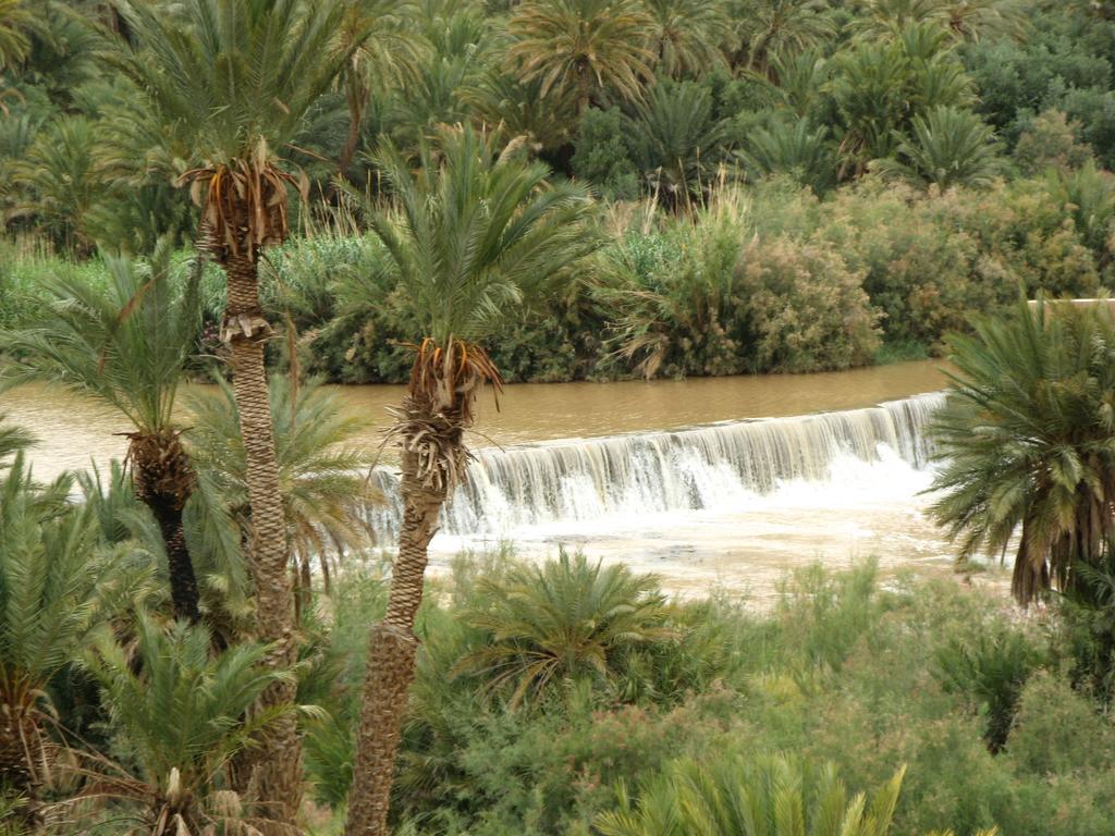 Auberge Tinit Errachidia Εξωτερικό φωτογραφία